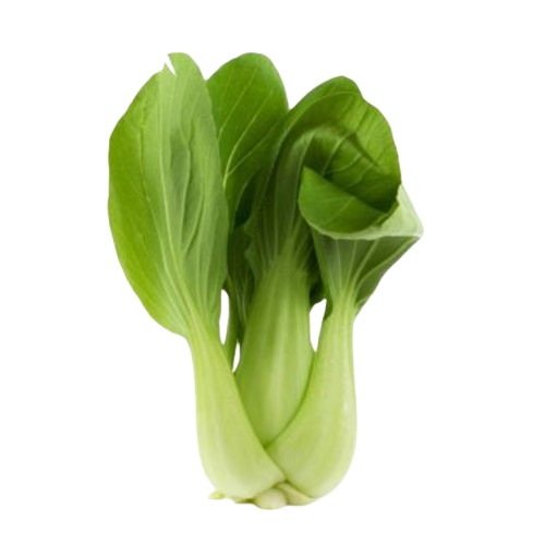 Pak Choi Verde